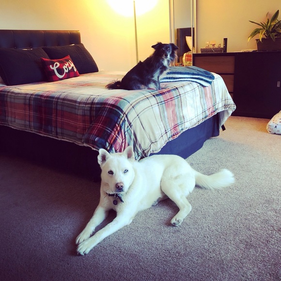 Meet your Posher, Marie - Picture 7 of 7